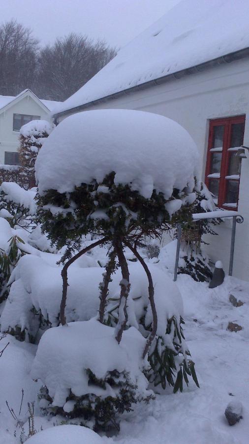 Gaeste Anneks Hos Hanne Hjørring Dış mekan fotoğraf
